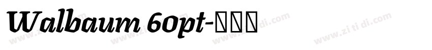 Walbaum 60pt字体转换